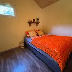 Unique Dutch Retro House 
