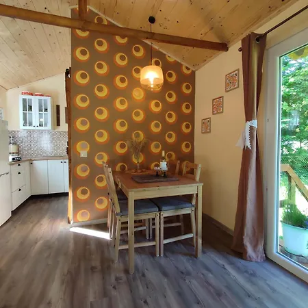 Unique Dutch Retro House 
