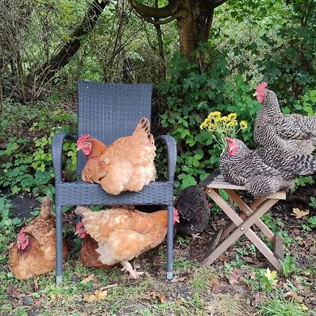 公寓 Unique Dutch Retro House 