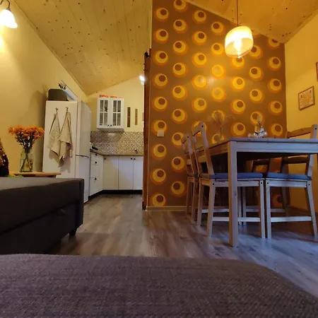 Unique Dutch Retro House 
