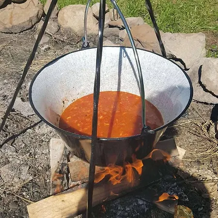 公寓 Unique Dutch Retro House 