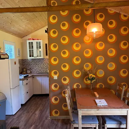 Unique Dutch Retro House Stará Láska - Natural Slovakia *