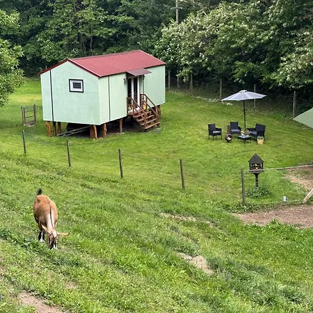 Unique Dutch Retro House 