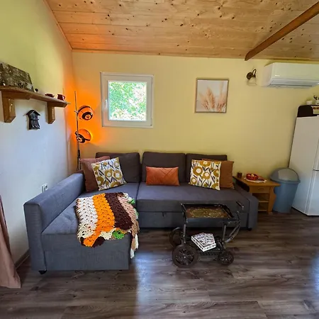 Unique Dutch Retro House 