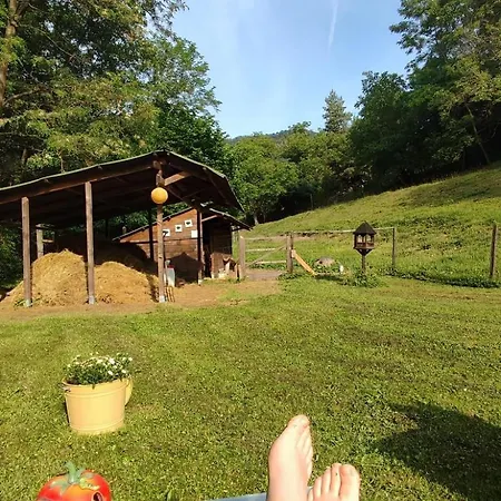 Unique Dutch Retro House 