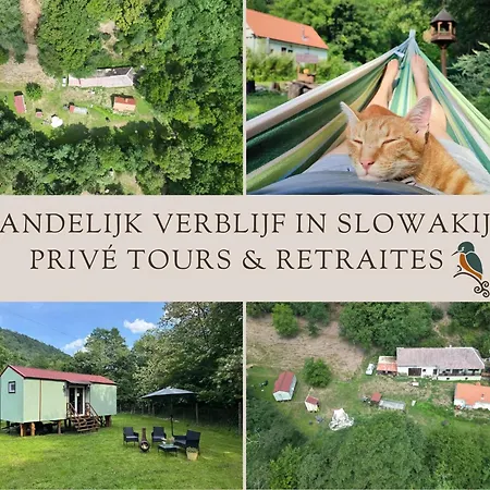 Unique Dutch Retro House 