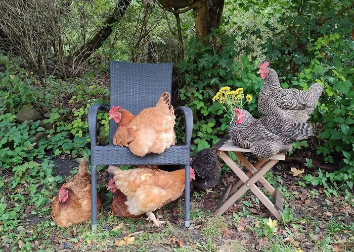 Apartment Unique Dutch Retro House 