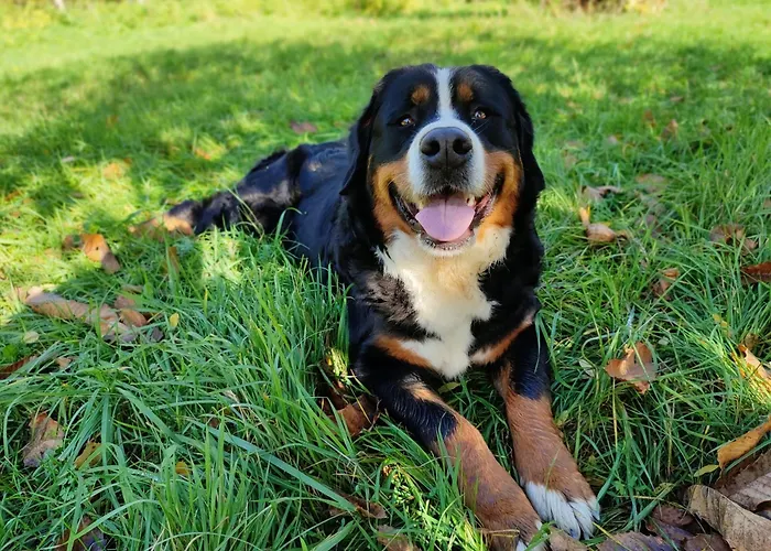 Apartment Unique Dutch Retro House 