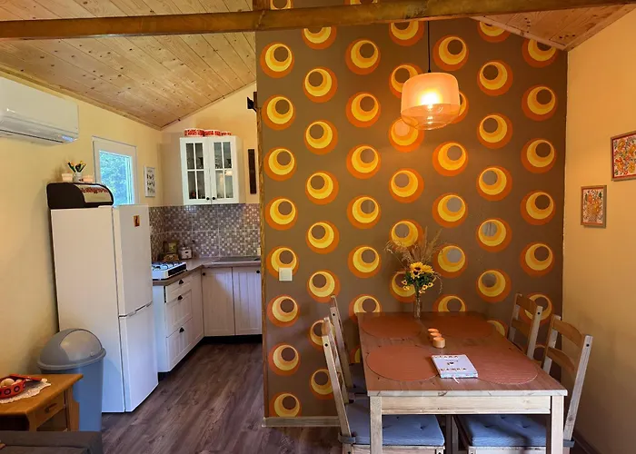 Unique Dutch Retro House 