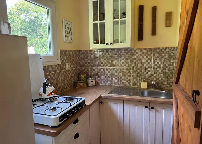 Unique Dutch Retro House 