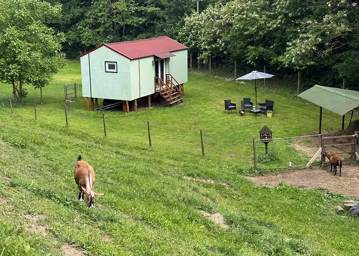 Unique Dutch Retro House 