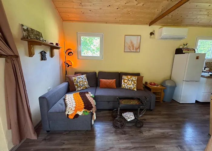 Unique Dutch Retro House 