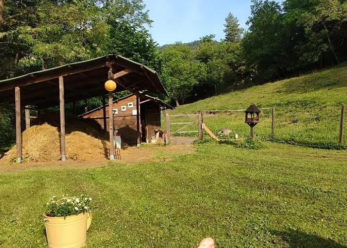 Unique Dutch Retro House 