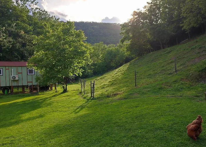 Apartment Unique Dutch Retro House 
