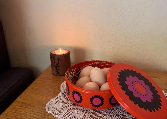 Unique Dutch Retro House 